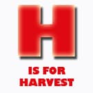H-LETTER