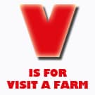 V-LETTER