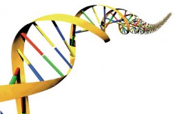 dna-500